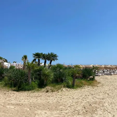 Horizon 12 'в' 圣弗拉斯